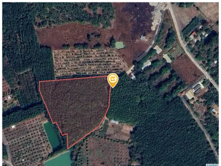 Bán đất 15055m² ngang 185m giá 3.2 tỷ Phường An Lộc