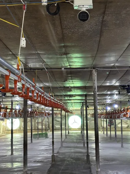 Bán Trại gà. Mặt đường Dh2 Xã Đinh văn Lâm Hà. 2000m2