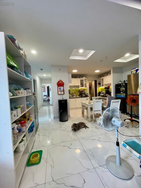 Bán căn hộ chung cư Phú Hoàng Anh, 4,6 tỷ, 130m2, 3PN, 2WC tại Nhà Bè, HCM