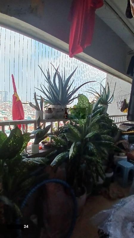Duy nhất 1 căn cc 2ngủ - Ngô Thì Nhậm - Siêu Víp . Giá cực tốt - ưu tiên lh 0966657863