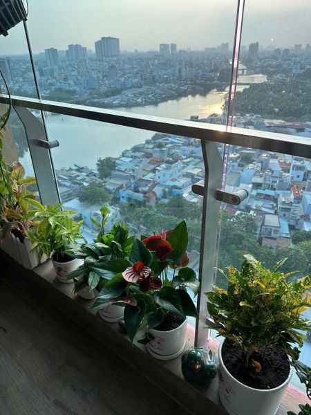 [Giá tốt] Bán căn 2pn 75m2 toà C - giá 8.4 tỷ bao full. Mặt ngoài view sông tầng đẹp