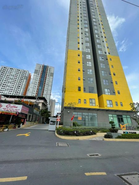Chuyên chuyển nhượng CC Bcons Polygon