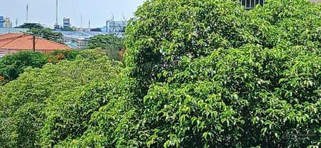 Bán CC 1PN, 1WC tại KCN Tân Bình, 2,388 tỷ, 45,5m2, bao đẹp