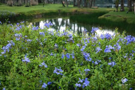 CĐT Ecopark mở bán căn hộ PK6 Eco Retreat,giỏ hàng độc quyền,ưu đãi chiết khấu 12%, LH 0903065843