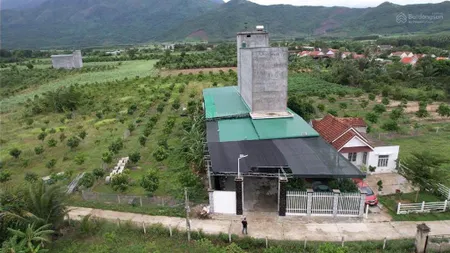 Bán đất ở ninh thượng, ninh hòa, khánh hòa (xã mới hoà trí), tặng kèm nhà yến đang thu hoạch
