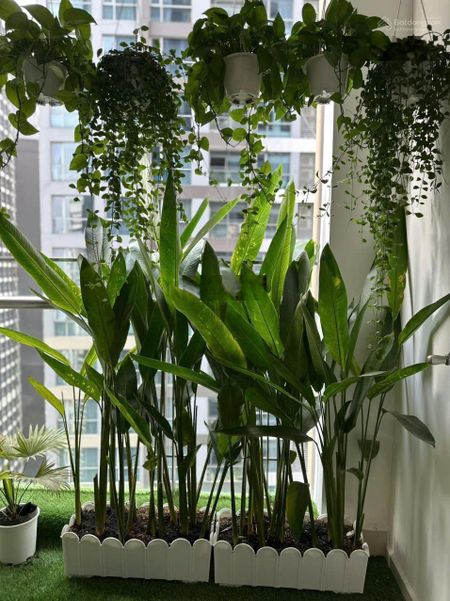 Hạ giá bán gấp 3PN Khu Park 3 Vinhomes Central Park, full nội thất cao cấp view sông