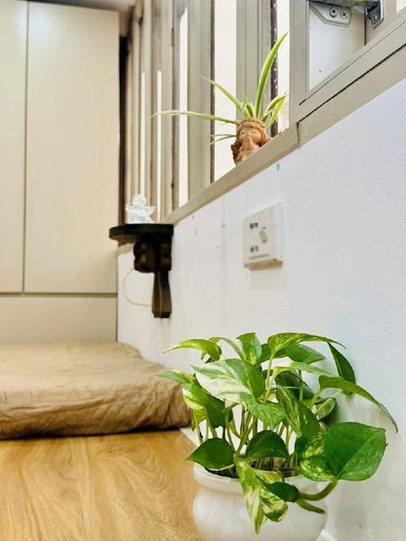 Căn hộ tập thể phố cổ-nhà đẹp-full nội thất-hiệu suất dòng tiền-hometay h,ót-ba bước ra bờ hồ-sở hữ