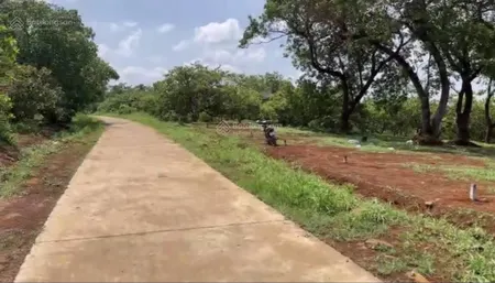 Chỉ hơn 300 triệu có ngay lô đất sổ riêng xây nhà liền tại bình phước