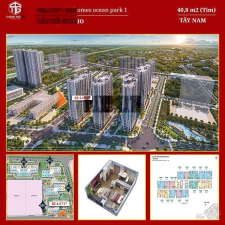 Chuyển nhượng Studio phân khu Beverly Vinhomes Ocean Park1