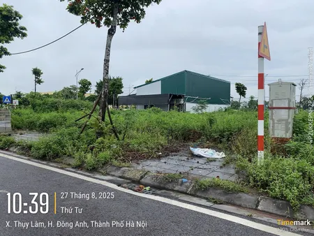 🔥 ĐẤT ĐẤU GIÁ THỤY LÂM LK8-17 – GIÁ RẺ NHẤT KHU 🔥