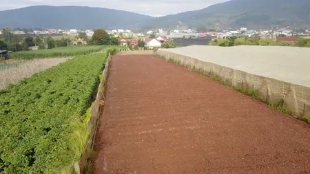Bán mãnh đất Tặng căn nhà. 1743m2 Bắc Hội gần Phi Nôm