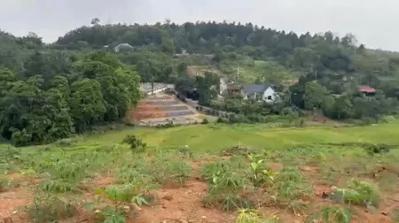 Bán đất 7528m² ngang 95m giá 14 tỷ Xã Ba Vì