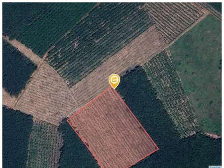 Bán đất 18000m² ngang 118m giá 3 tỷ Xã Phước Thành