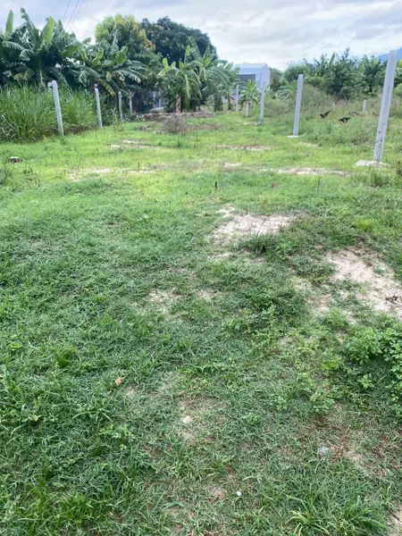 Bán đất 173,9m² ngang 7mm giá 1.4 tỷ Phường Bắc Cam Ranh