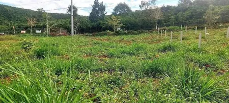 Cho thuê 5500m2 đất mặt tiền đường Thôn Đạ Nghịt, xã Lát, Lạc Dương. Phù hợp làm homestay, nghĩ dưỡng