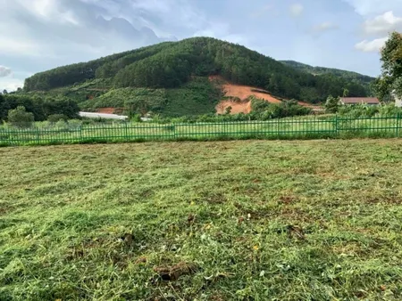 Cần cho thuê mảnh đất 3000m2 đường bê tông, đường xe hơi, thích hợp làm nhà kính