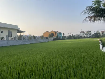 Đất view lúa trước nhà, giá chỉ hơn 2 tỷ, ngay trung tâm phố cổ hội an.