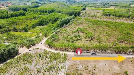 Cần bán lô đất xã khánh đông, huyện khánh vĩnh khánh hoà, phù hợp làm vườn