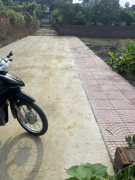 Bán đất phú cát 100 m2 giá 3.7 tỷ