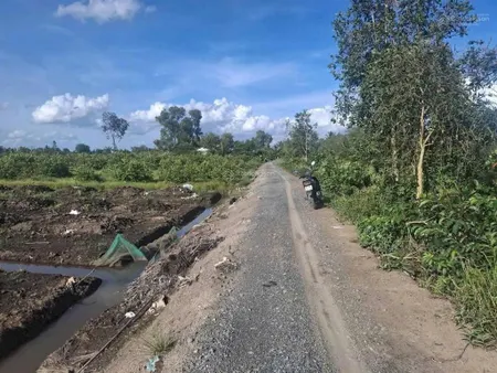 Bán đất tại bình đức, cách 816 gần 300mbến lức, long an, 1,55 tỷ, 1950 m2