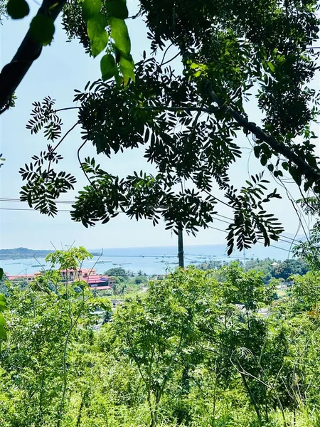 Cơ hội vàng cho nhà đầu tư lô đất giá tốt nhất khu vực vĩnh lương view trực diện biển