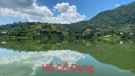 A77 nhà dân cần tiền bán bớt 1000m² đất hiếm gần hồ cố đụng