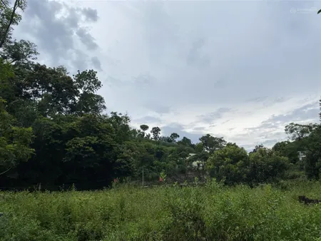 Tôi cần bán gấp lô đất 1600m2 tại khánh thượng, ba vì. sổ đỏ toàn bộ, giá bán 2.5 tỷ