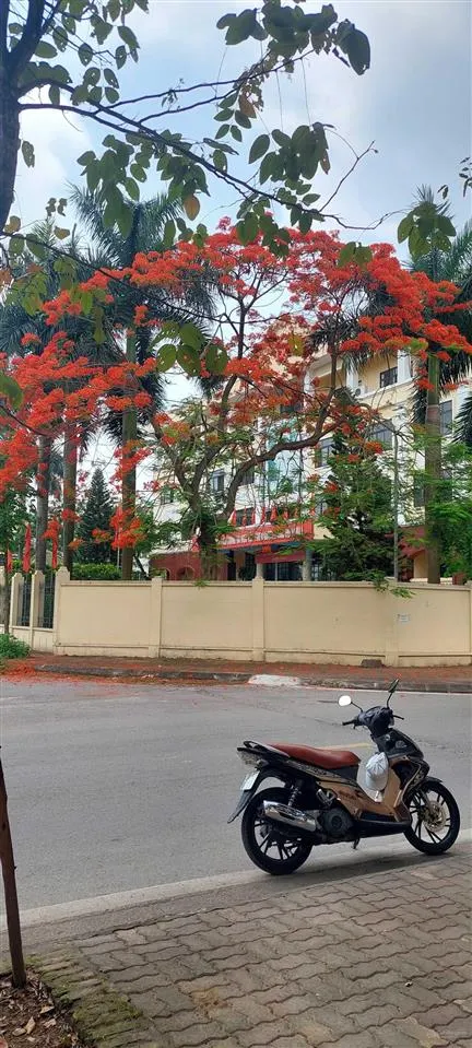 Bán đất có vị trí đẹp tại phân lô tứ hiệp 150m2 giá bán 34.5 tỷ đồng. xin lộc 0962 658 ***