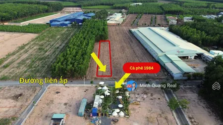 Bán gấp 20x100m, 300m2 thổ, phủ hồng, ngã 3 giang điền, chỉ 7,8 tỷ còn thương lượng