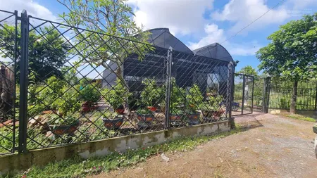 Chính chủ bán gấp nhà đất tặng hết tài sản, qh mặt 2 tiền lg 20m vườn cây, ao cá và nhà kính
