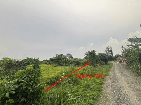 Bán gấp bán đất khu phố an thới, phường an tinh, thị xã trảng bàng, tây ninh