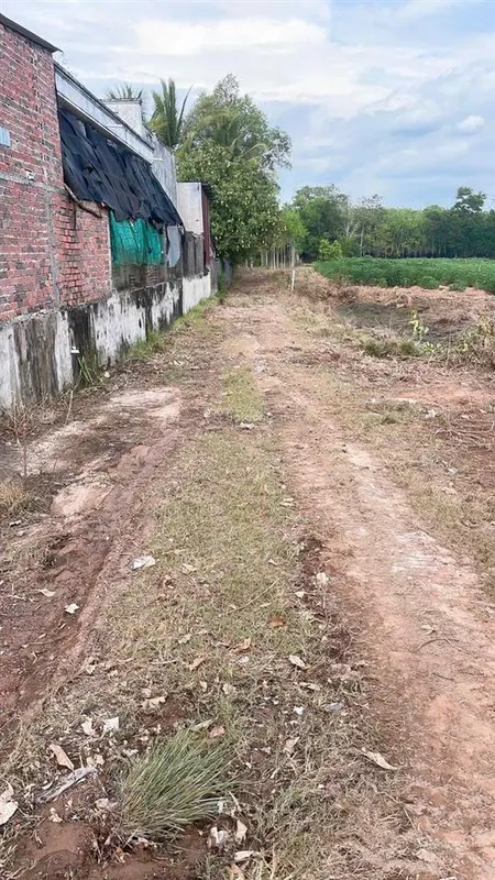 Chủ ngộp bán gấp, 6x27, full thổ, chỉ 159tr, sổ hồng riêng, 0911 788 ***