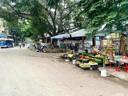Chính chủ bán 232m2 đất tại thạch thành, bám trục đường tỉnh lộ giá 230 triệu