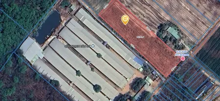 Bán đất 4983m² ngang 140m giá 6.5 tỷ Xã Long Hòa, tiện phân lô bán nền.