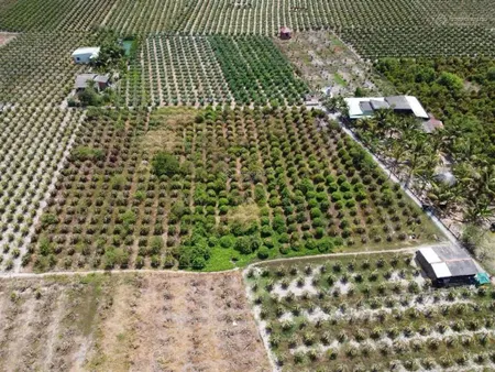 Bán 4600m2 đất có 270m2 thổ thuộc ấp phú xuân 2, phú ngãi trị, châu thành, dt 56 x 72m