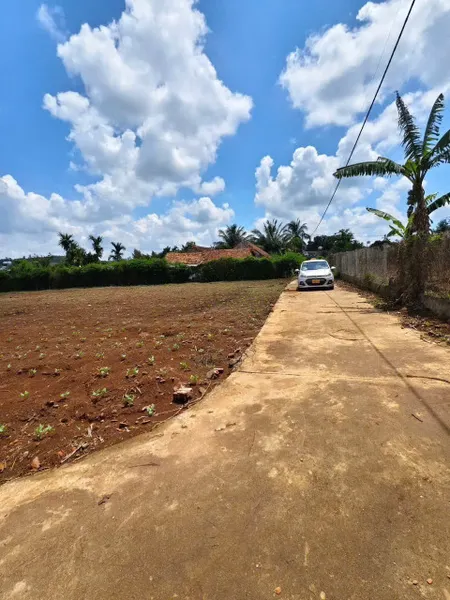 Đất thổ cư 250m² ngang 10m giá 269 triệu Xã Ea Na