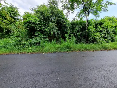 (B538) Đất 1/ Cây Bài, xã Phú Hòa Đông, dt 1.450m2, thổ 330m2, giá 8 tỷ 300