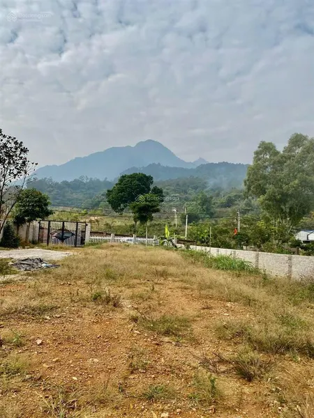 Gấp! cần chuyển nhượng nhanh 1080m2 thực tế 1160m2 có 150m2 tc tại vân hoà