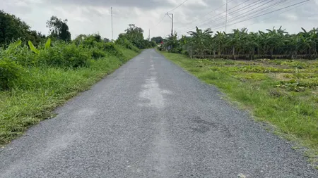 Bán 2 công đất vườn mặt tiền nhựa TL871C, gần biển Rạch Bùn, Tân Điền, GCĐ, TG