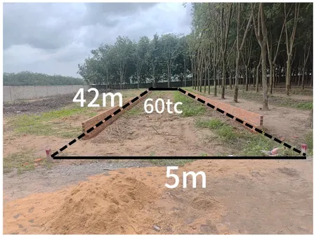 Bán đất 6285.7m² ngang 5m giá 1.1 tỷ Phường Chánh Phú Hòa