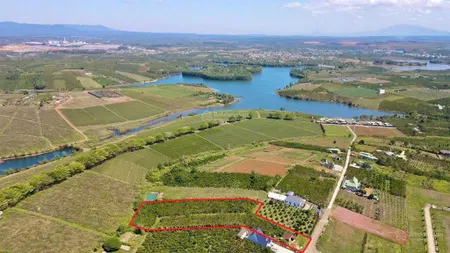 7764.2m2 đất thổ cư, mặt tiền đường nhựa lớn, view đồi chè và hồ cánh bướm rất đẹp