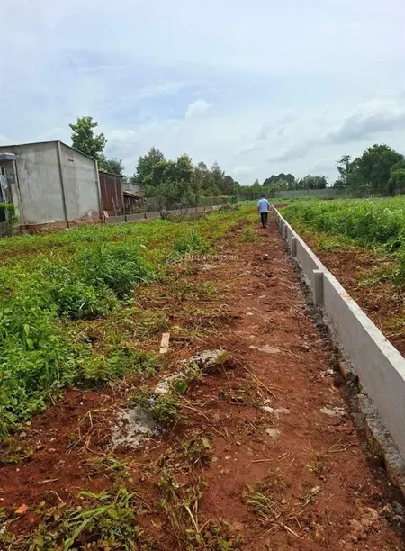 Cần bán gấp 1 sào (1000m2) 80m2 thổ cư, 16m mặt tiền đường nhựa p. tam long, tp. hcm