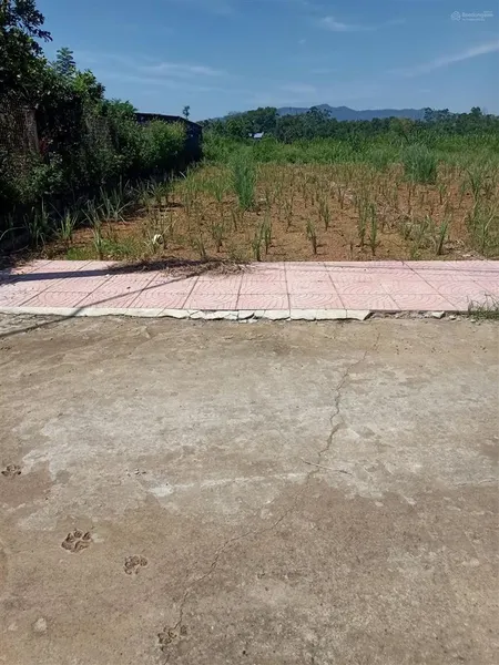 Chính chủ bán đất 156,3m2 full thổ cư mt 5,7m giá chỉ 2,6tỷ, đầu tư tốt, tại hòa trúc xã phú cát hn