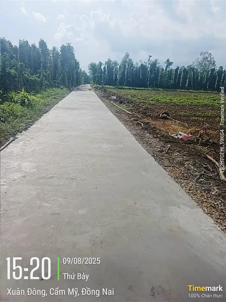 Bán đất tại xã xuân đông, 3,955 tỷ, 4000 m2, mặt tiền 113m