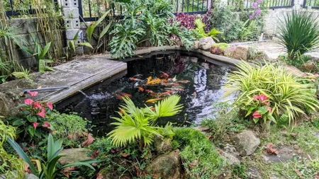 Bán gấp căn nhà 122m2/650 triệu trung tâm bảo lộc, có sân vườn, hồ cá koi dọn vào ở ngay