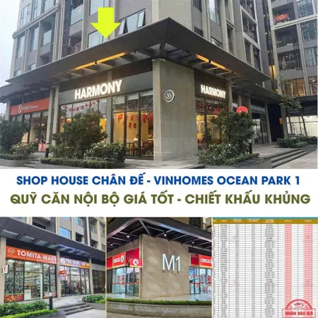 Siêu phẩm shophouse góc vị trí vàng, giá rẻ bất ngờ!