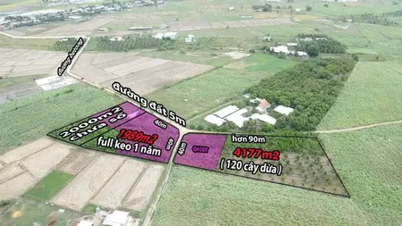 0763615365 Bán đất 8000m² giá 1.5 tỷ Xã Tân Định S.LM