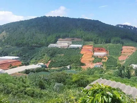 Bán lô trên đỉnh đồi măng lin, đà lạt 246m2 thổ cư view rừng thông không bị che chắn chỉ 5 tỷ 6