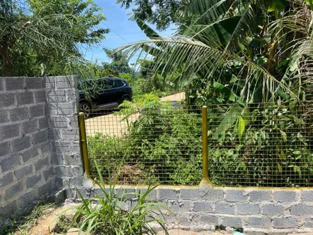 Chủ cắt lỗ lô đất 18m mặt đường trục chính gần cổng làng, sẵn vườn cây, giếng khoan, điện, cổng