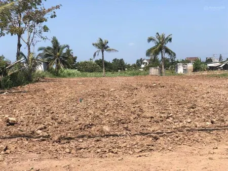 Bán đất đường 877b, ấp tân xuân, xã tân phú, huyện tân phú đông, tiền giang, 800m2, 880 triệu